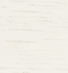 RAL 9016